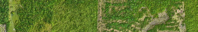 Faixa estreita de vista aérea em cor natural, com mata fechada e uma área aberta riscada por linhas de terra clara
