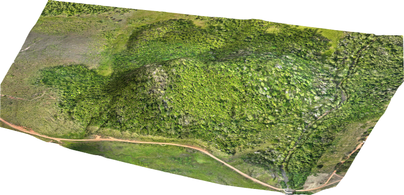 Ortomosaico em cor natural assentado sobre o modelo do terreno, em vista oblíqua, com o morro coberto de mata e uma estrada de terra ao pé dele